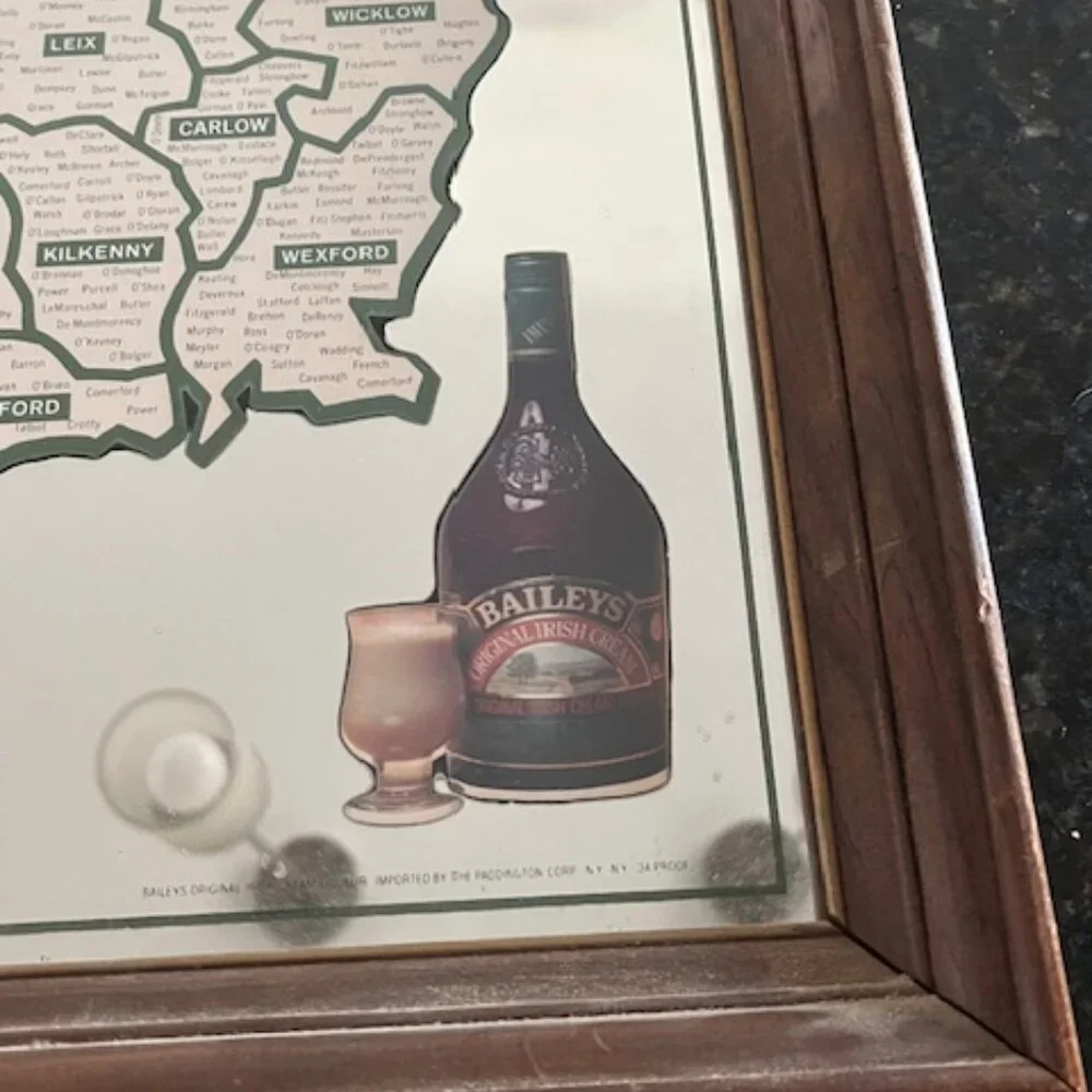 Vintage - RARE Framed Bailey's Irish Name Mirror Map featuring Irish names